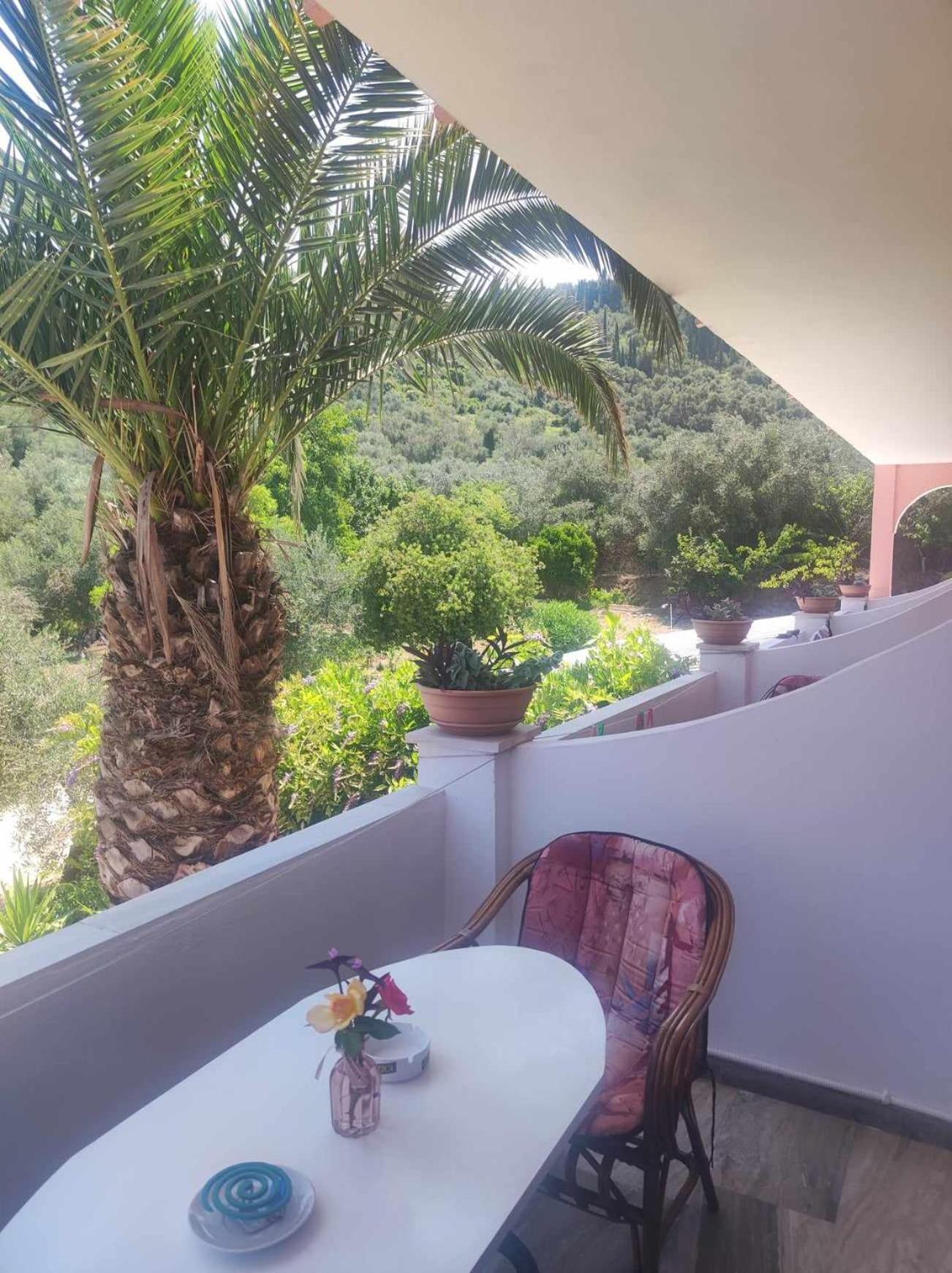 Hotel Marianna House Agios Georgios Pagon Esterno foto